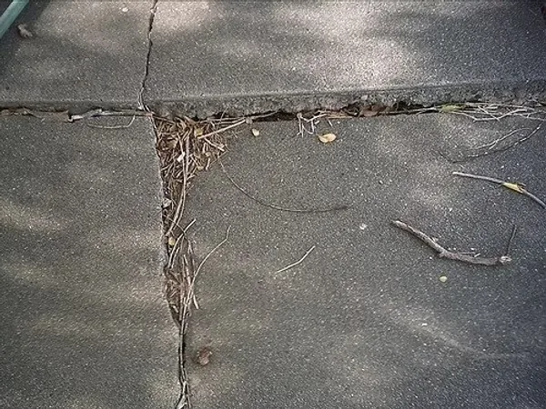 A cracked concrete walkway